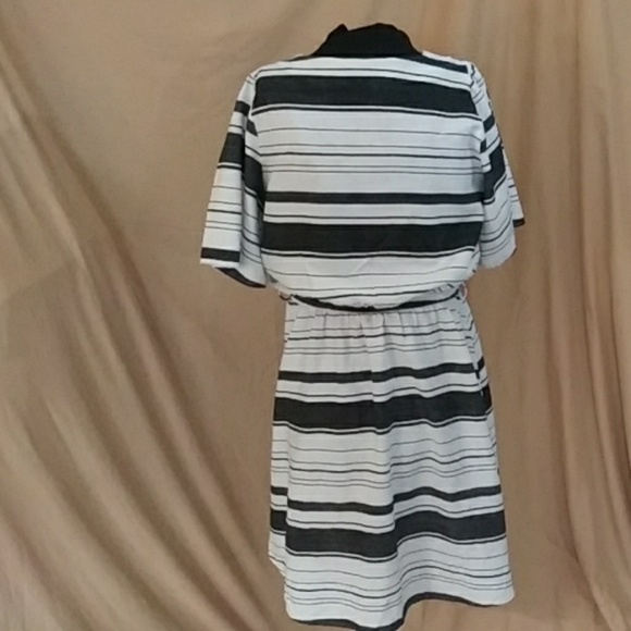 Miracle Berry made in USA 🇺🇸 - Picture 2 of 6